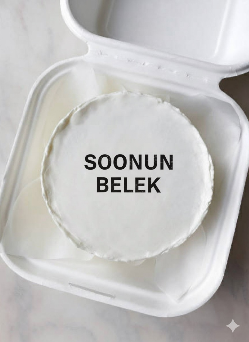 Бентоторт - изображение 1